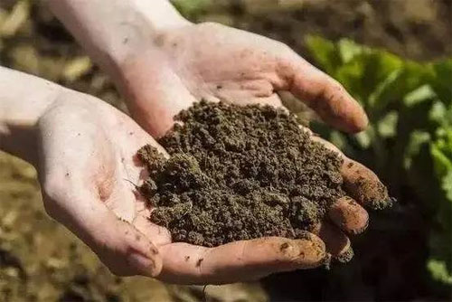 怎么提升畜禽糞便發(fā)酵有機肥的效率?