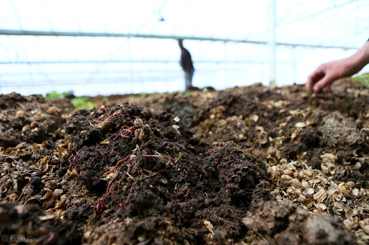 投資一個有機肥廠有沒有前景？