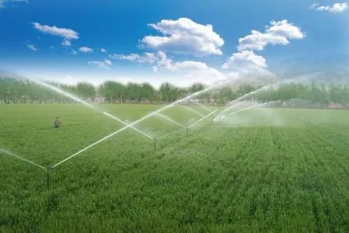 畜禽養殖廢棄物生產有機肥相關技術研究